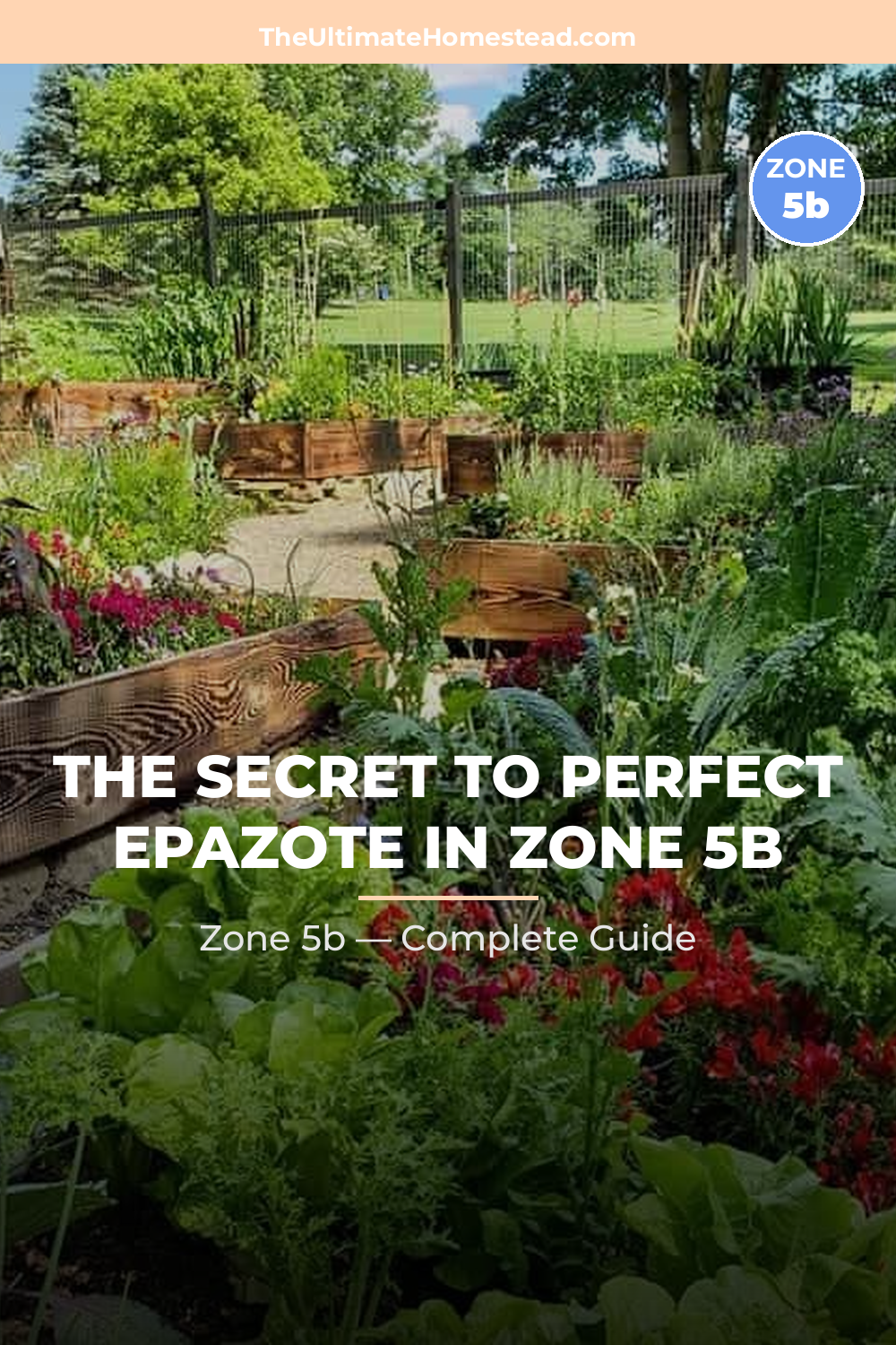 When to Plant Epazote in Zone 5b