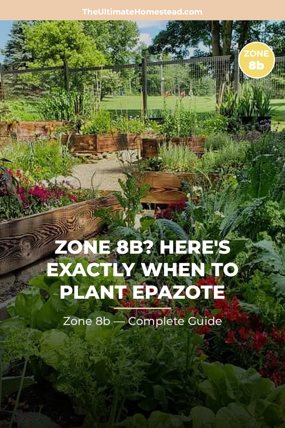 When to Plant Epazote in Zone 8b