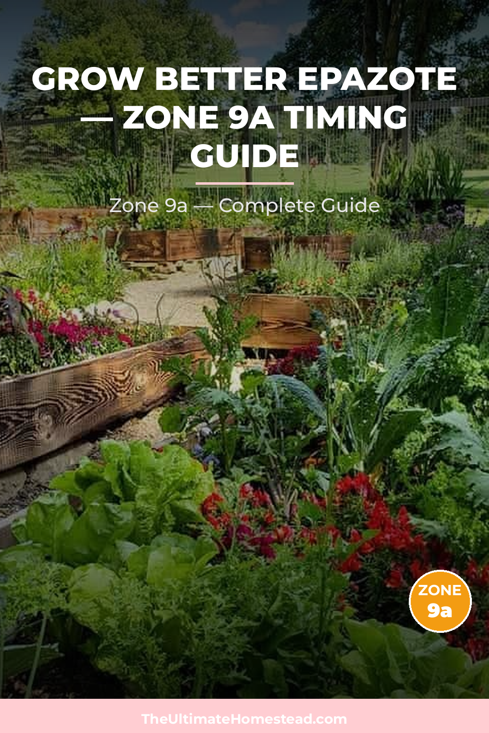 When to Plant Epazote in Zone 9a