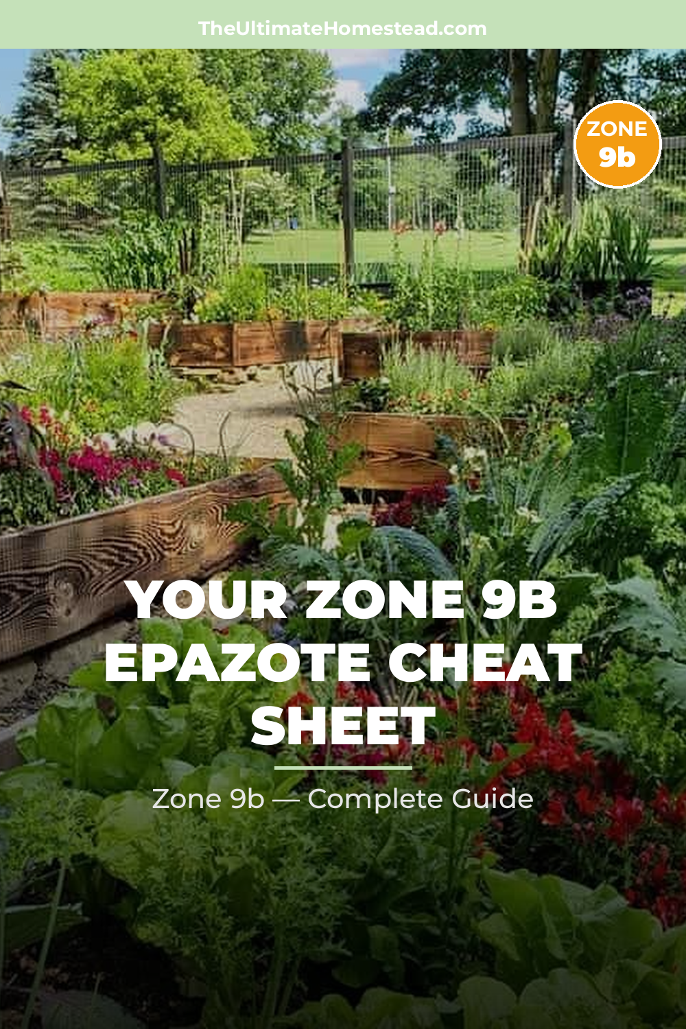 When to Plant Epazote in Zone 9b