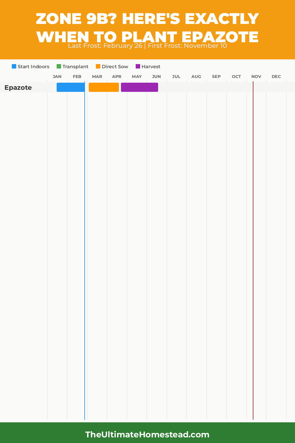 When to Plant Epazote in Zone 9b