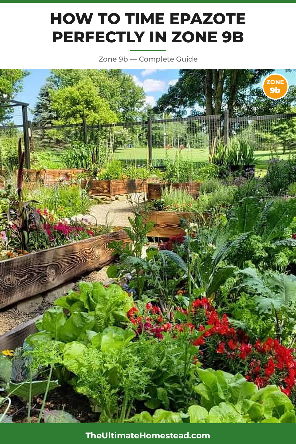 When to Plant Epazote in Zone 9b