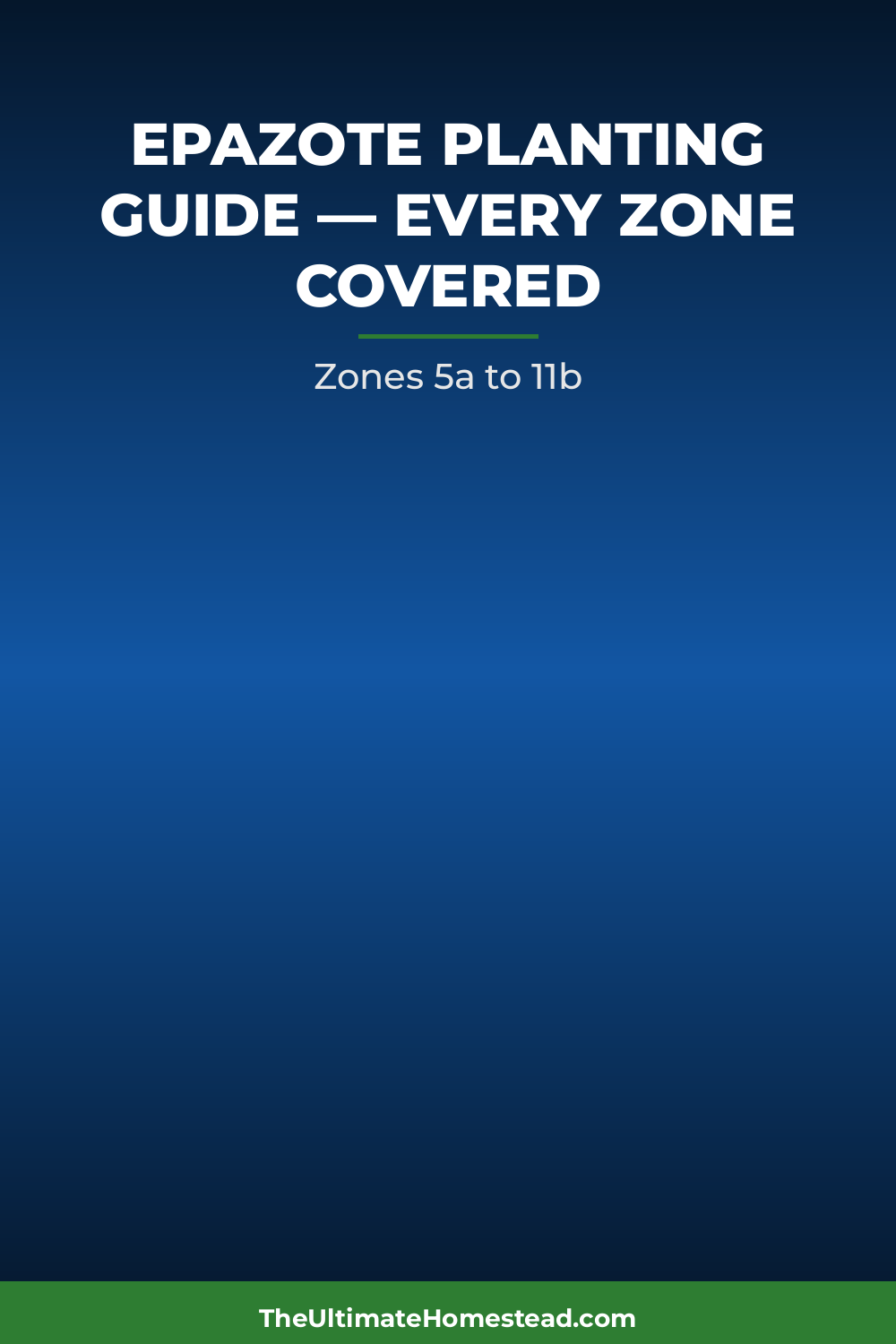 Epazote Planting Guide