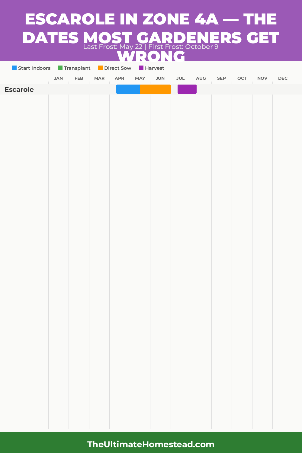 When to Plant Escarole in Zone 4a