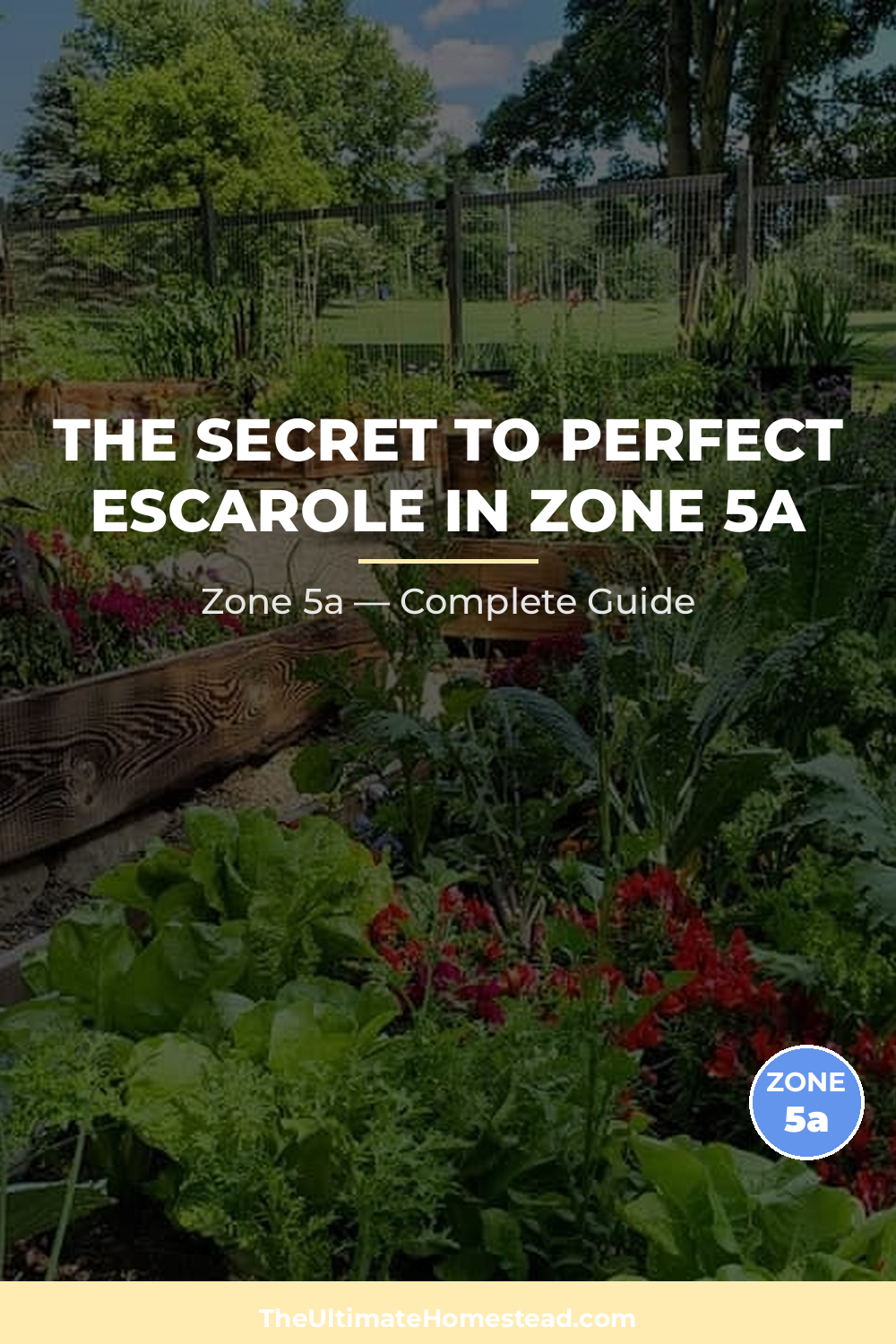 When to Plant Escarole in Zone 5a