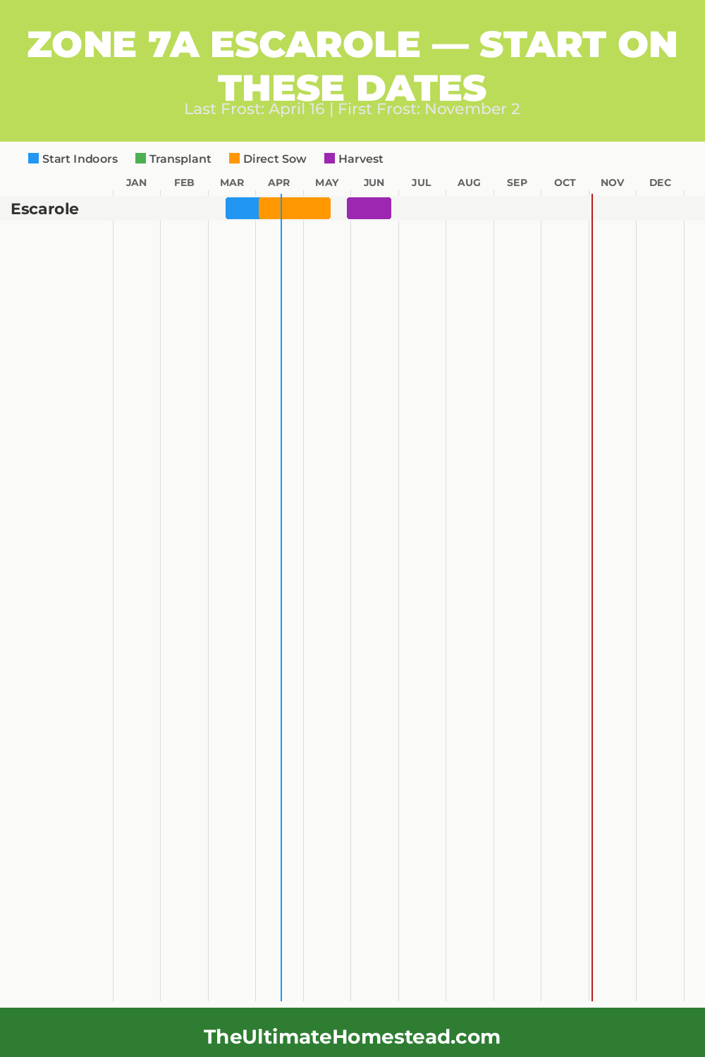 When to Plant Escarole in Zone 7a