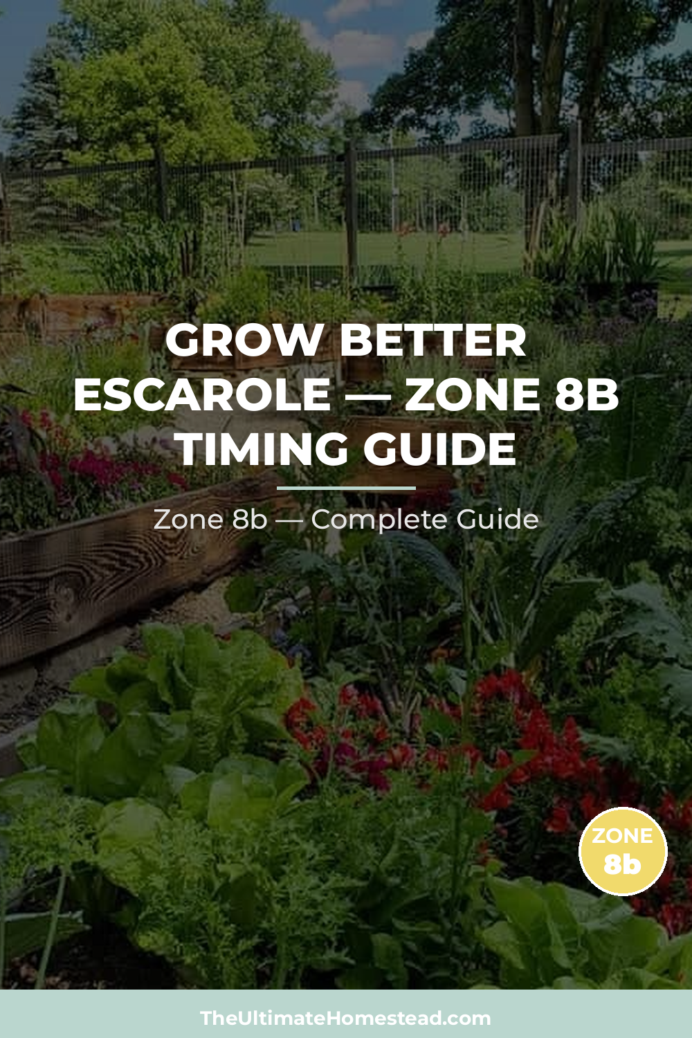 When to Plant Escarole in Zone 8b
