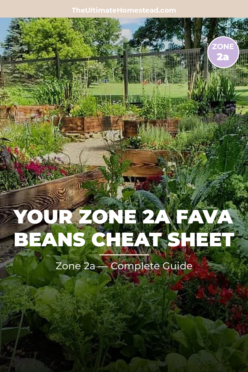 When to Plant Fava Beans in Zone 2a