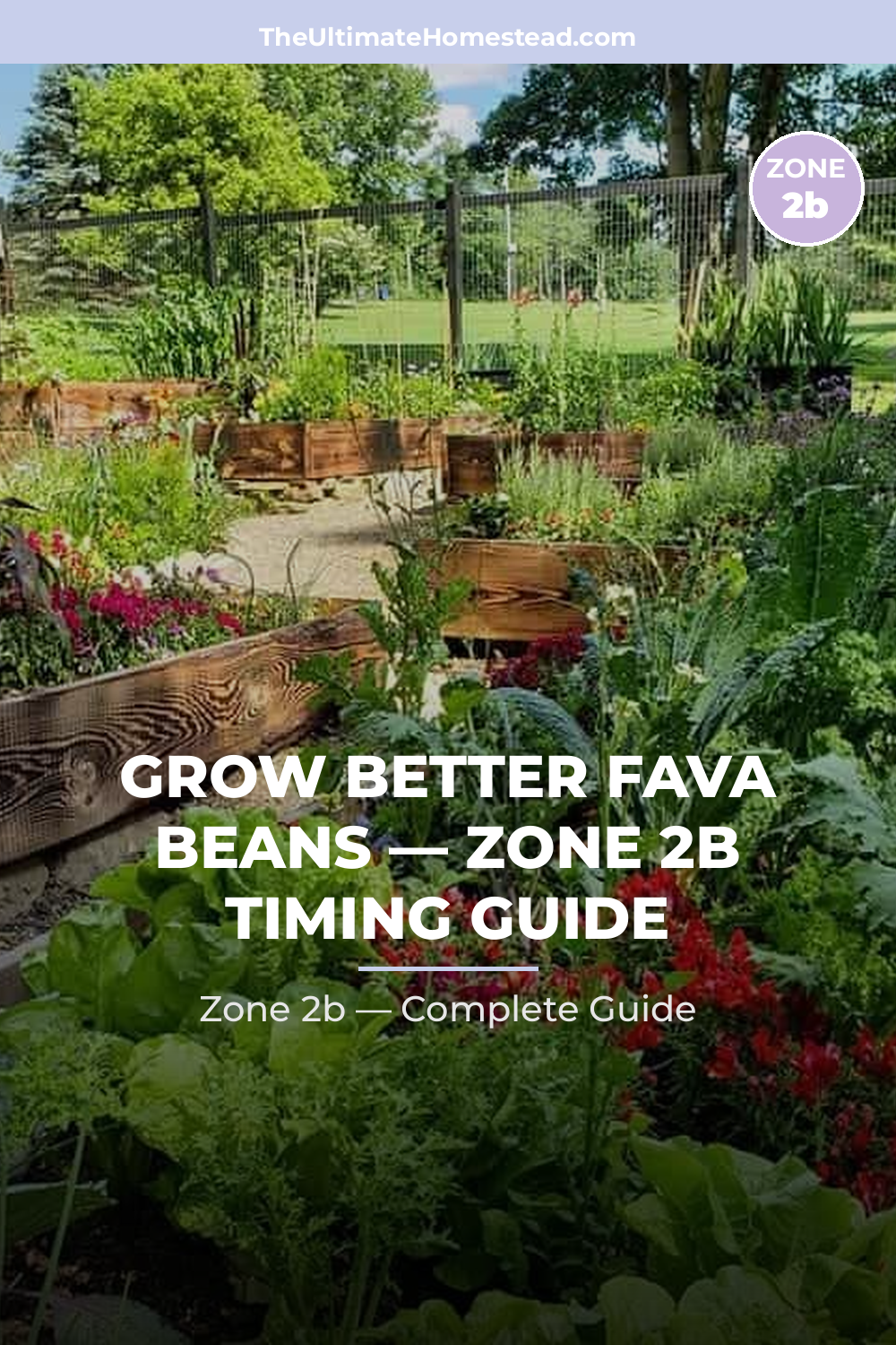 When to Plant Fava Beans in Zone 2b