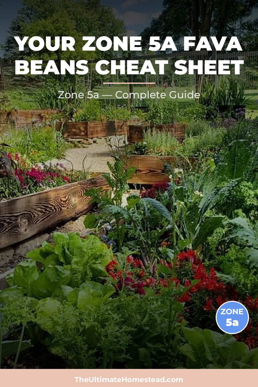 When to Plant Fava Beans in Zone 5a