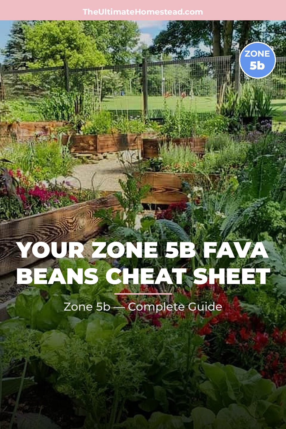 When to Plant Fava Beans in Zone 5b