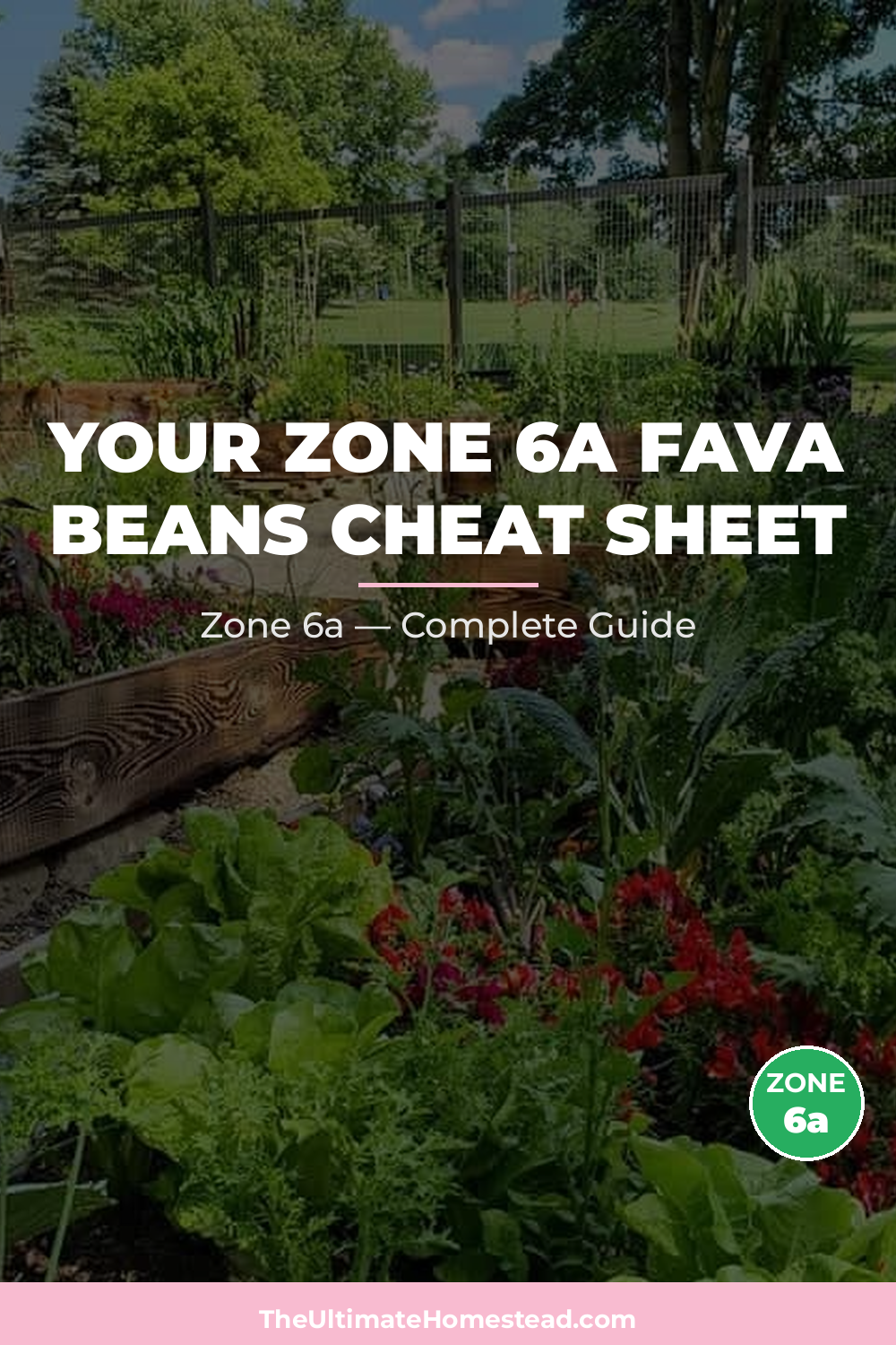 When to Plant Fava Beans in Zone 6a
