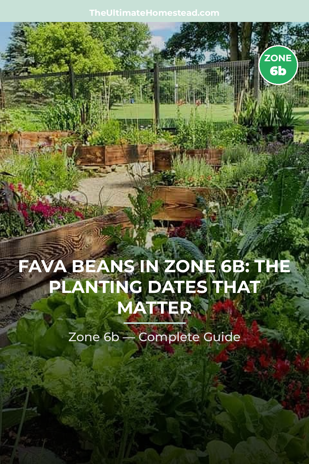 When to Plant Fava Beans in Zone 6b