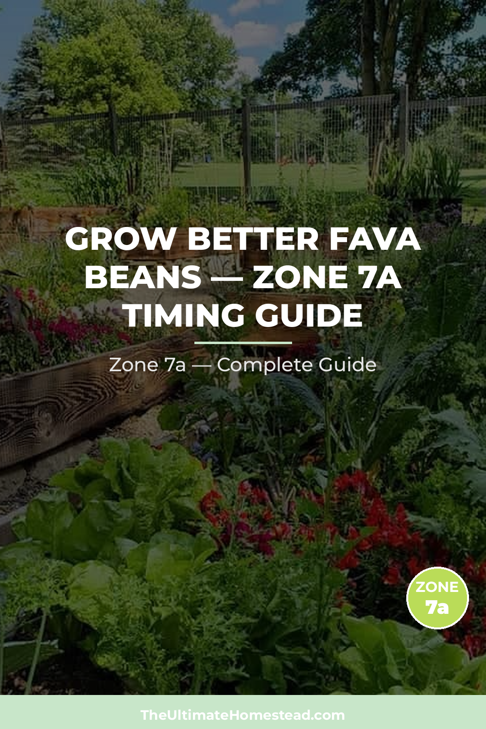 When to Plant Fava Beans in Zone 7a