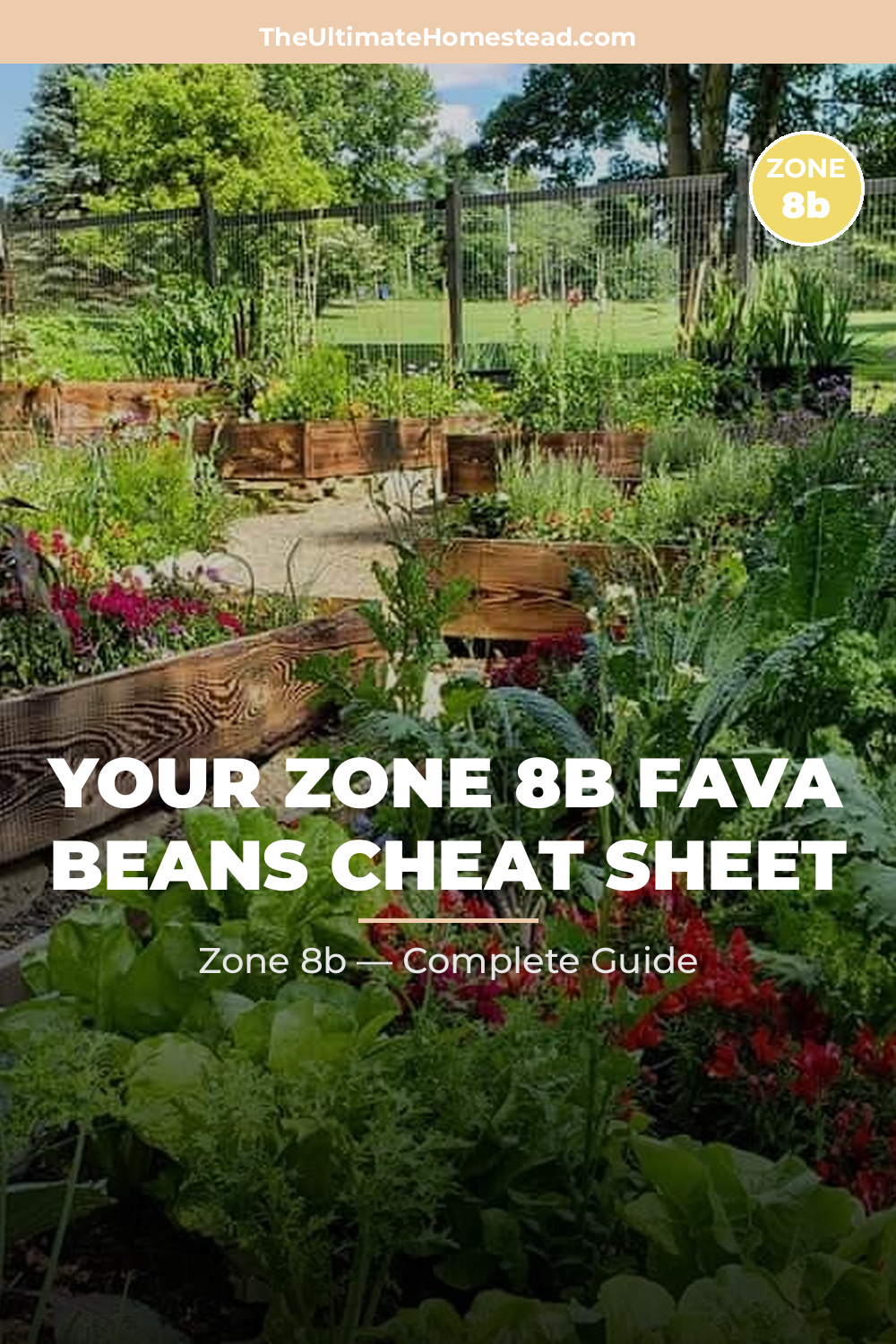 When to Plant Fava Beans in Zone 8b