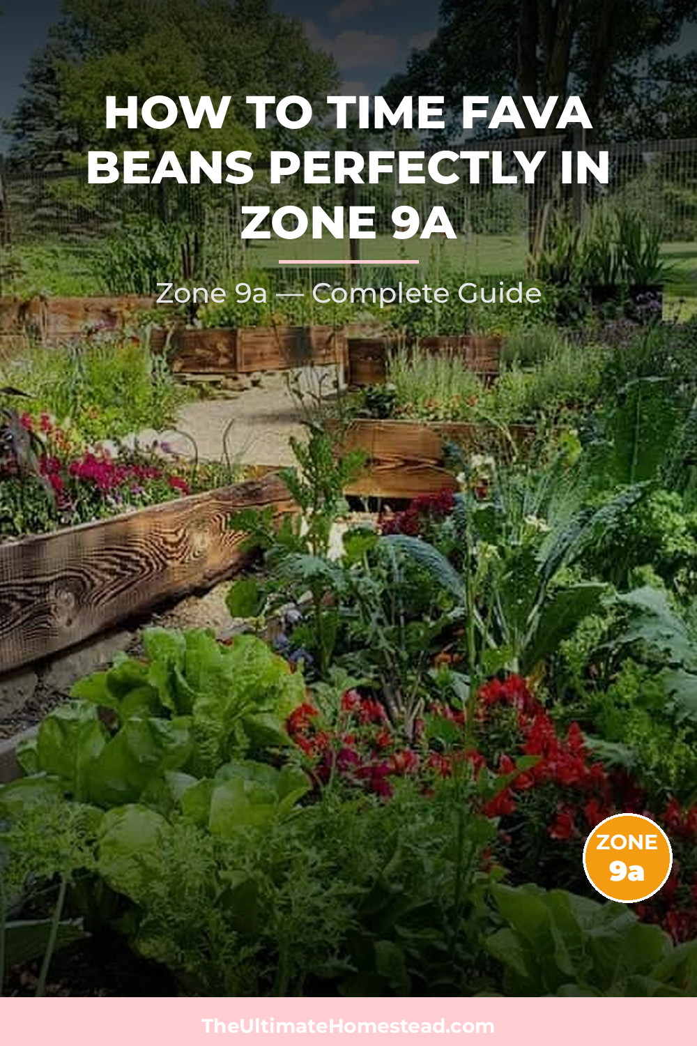 When to Plant Fava Beans in Zone 9a