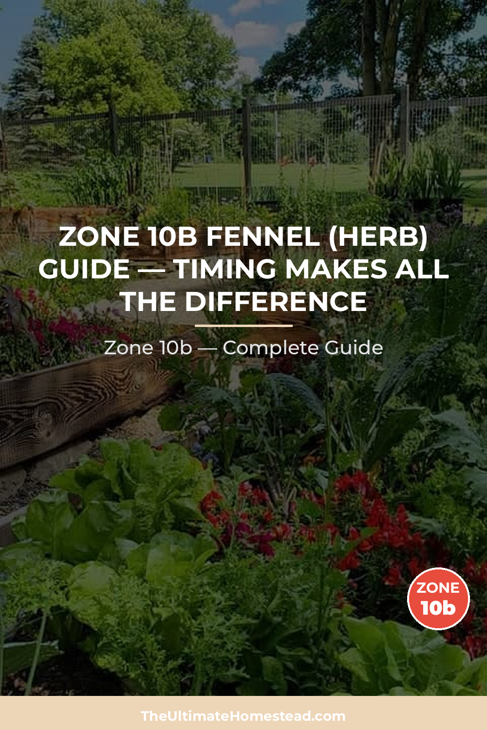 When to Plant Fennel (herb) in Zone 10b