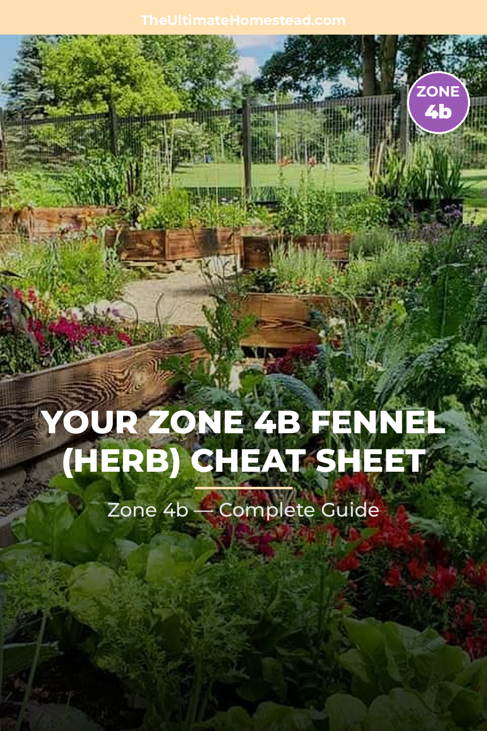 When to Plant Fennel (herb) in Zone 4b