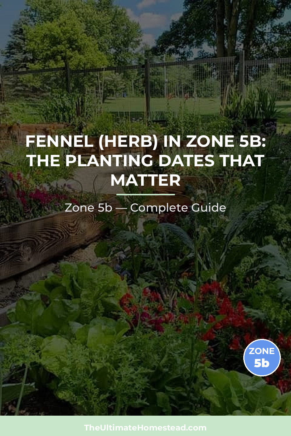 When to Plant Fennel (herb) in Zone 5b