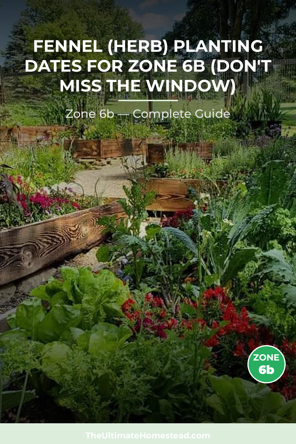When to Plant Fennel (herb) in Zone 6b