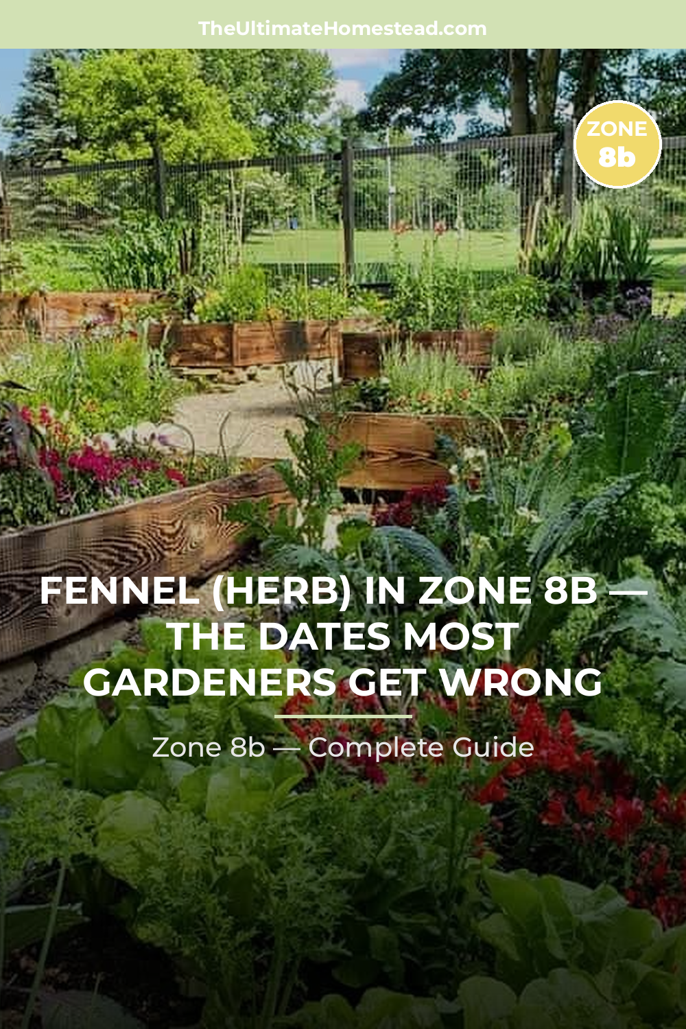When to Plant Fennel (herb) in Zone 8b