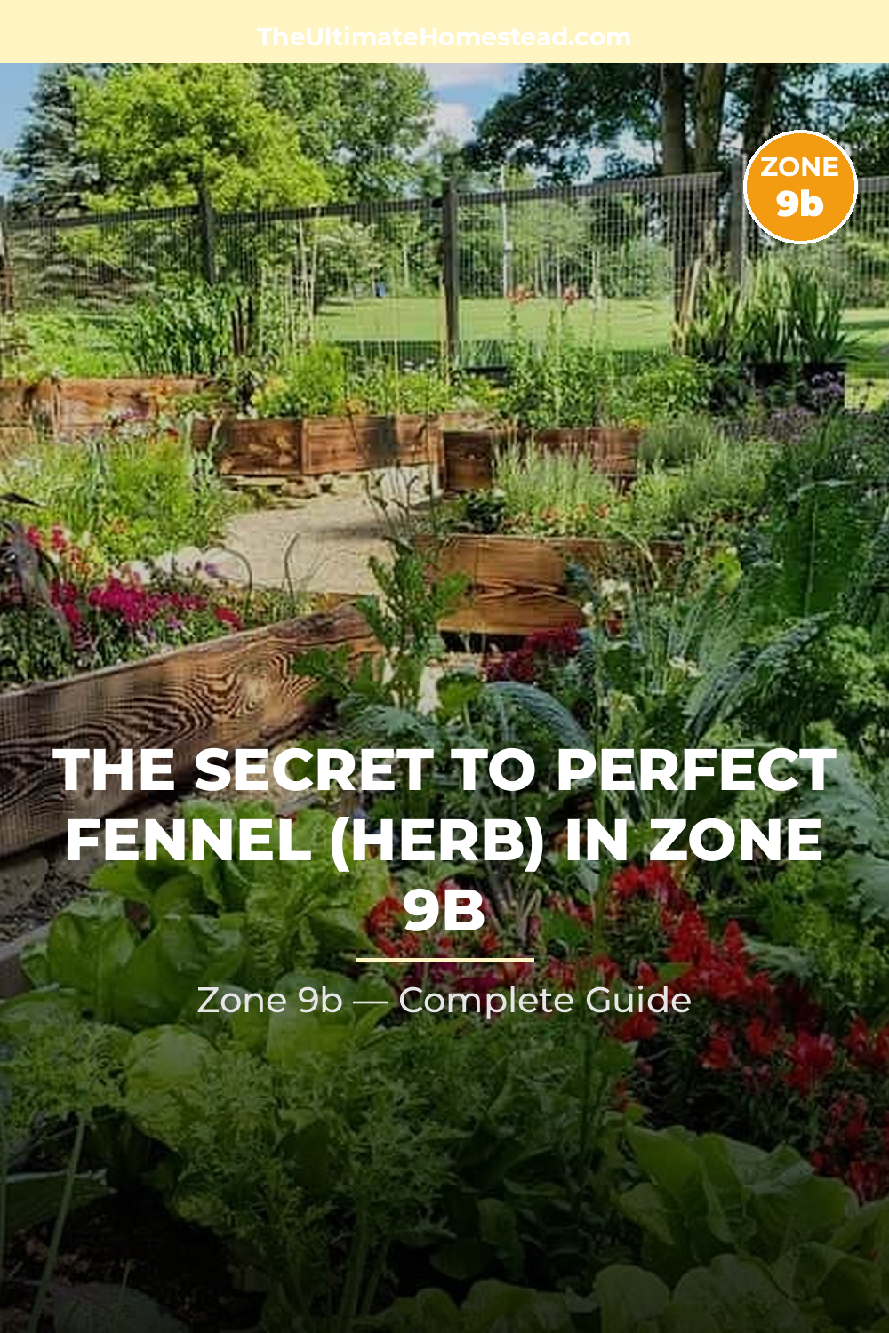 When to Plant Fennel (herb) in Zone 9b