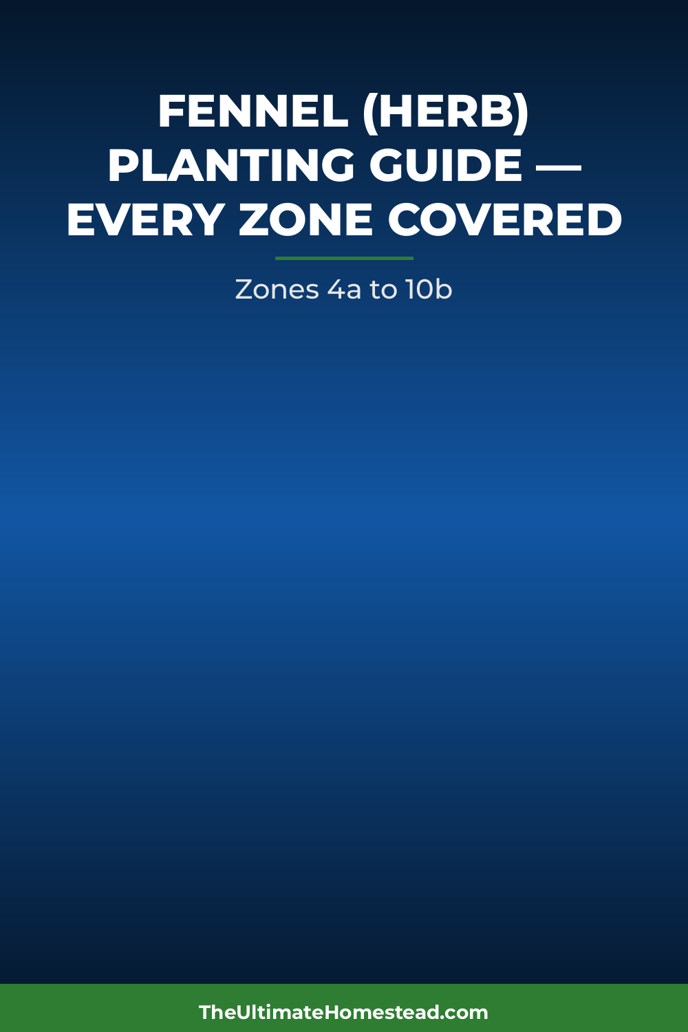 Fennel (herb) Planting Guide