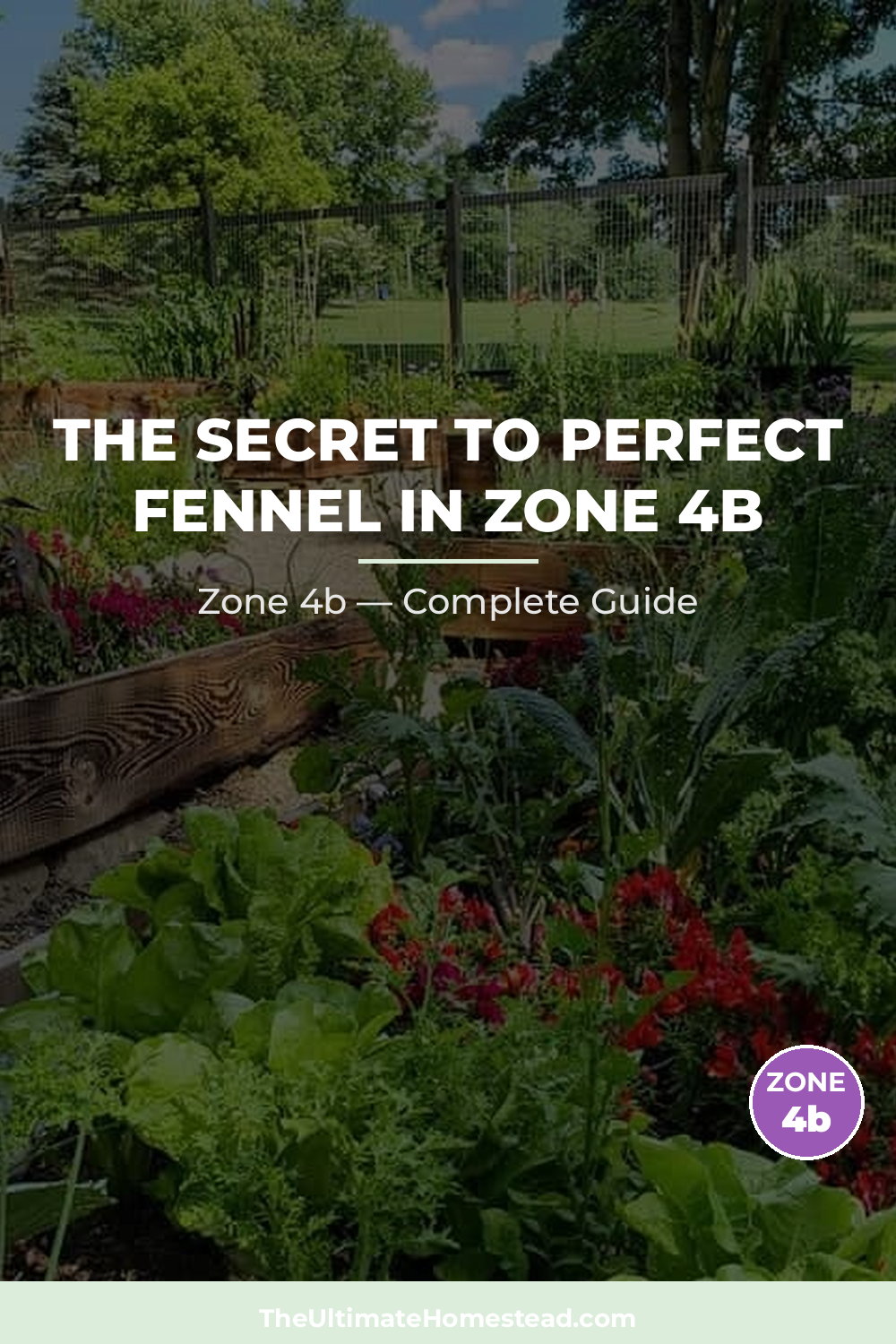 When to Plant Fennel in Zone 4b