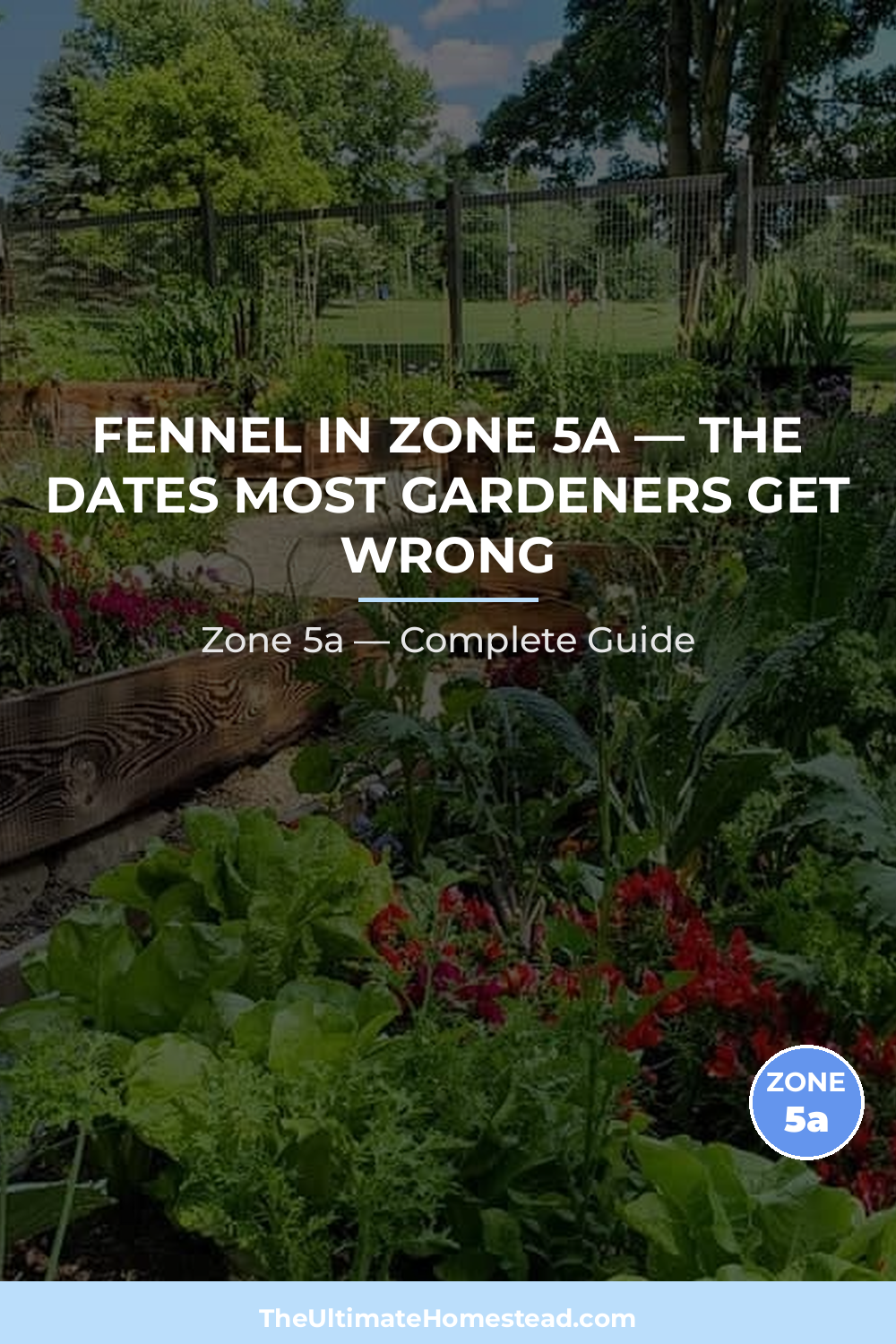 When to Plant Fennel in Zone 5a