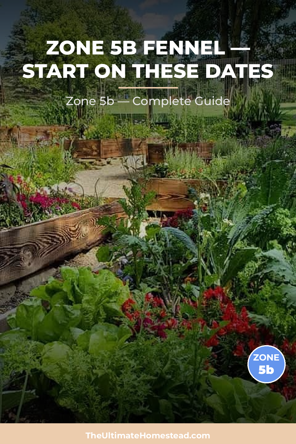 When to Plant Fennel in Zone 5b