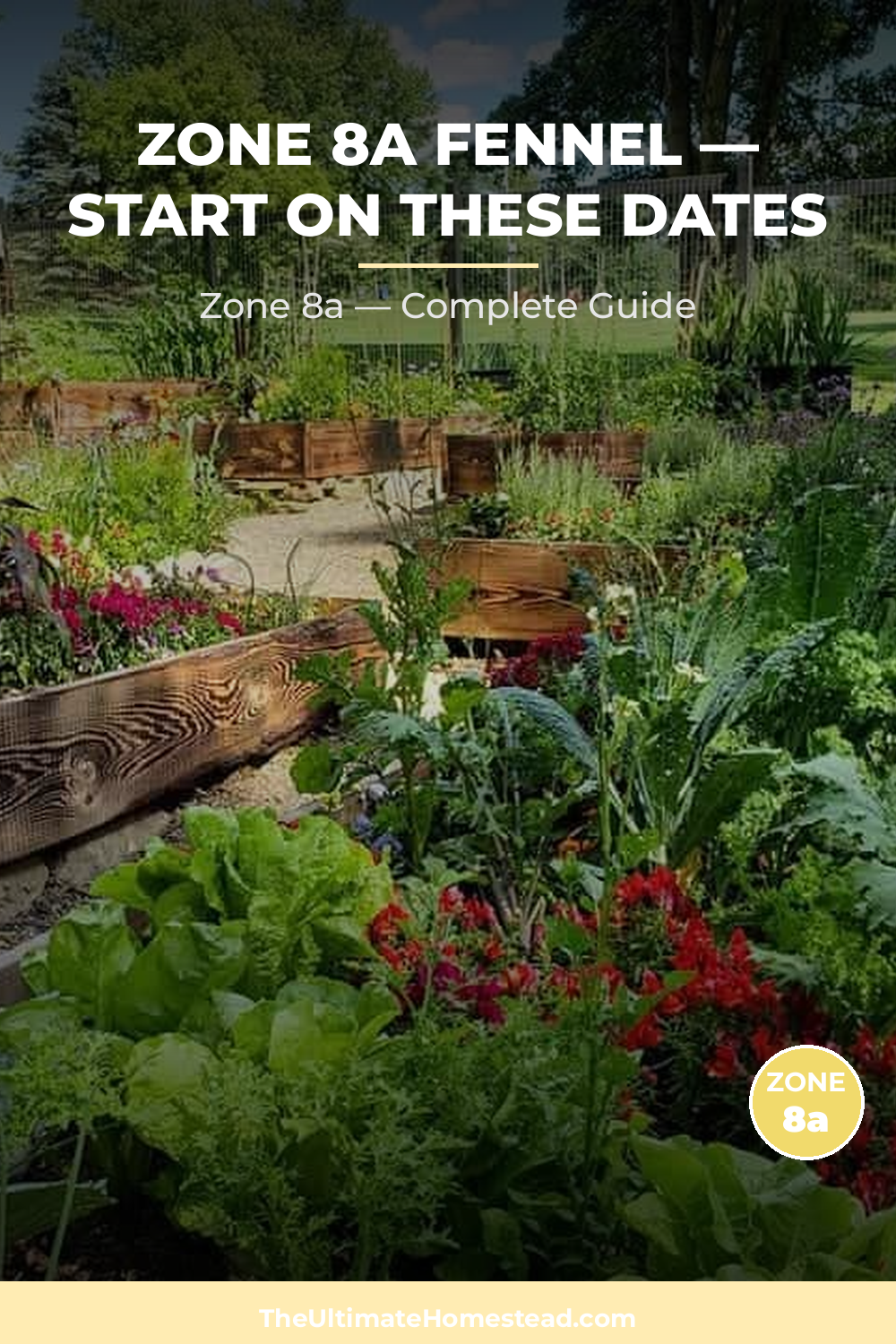 When to Plant Fennel in Zone 8a