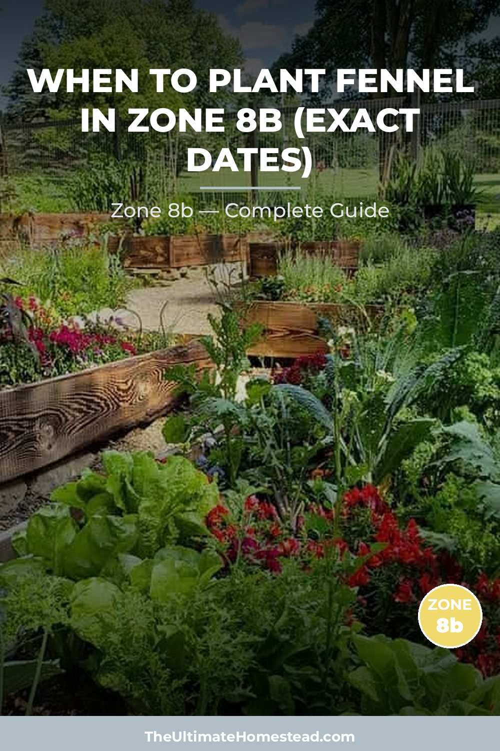 When to Plant Fennel in Zone 8b