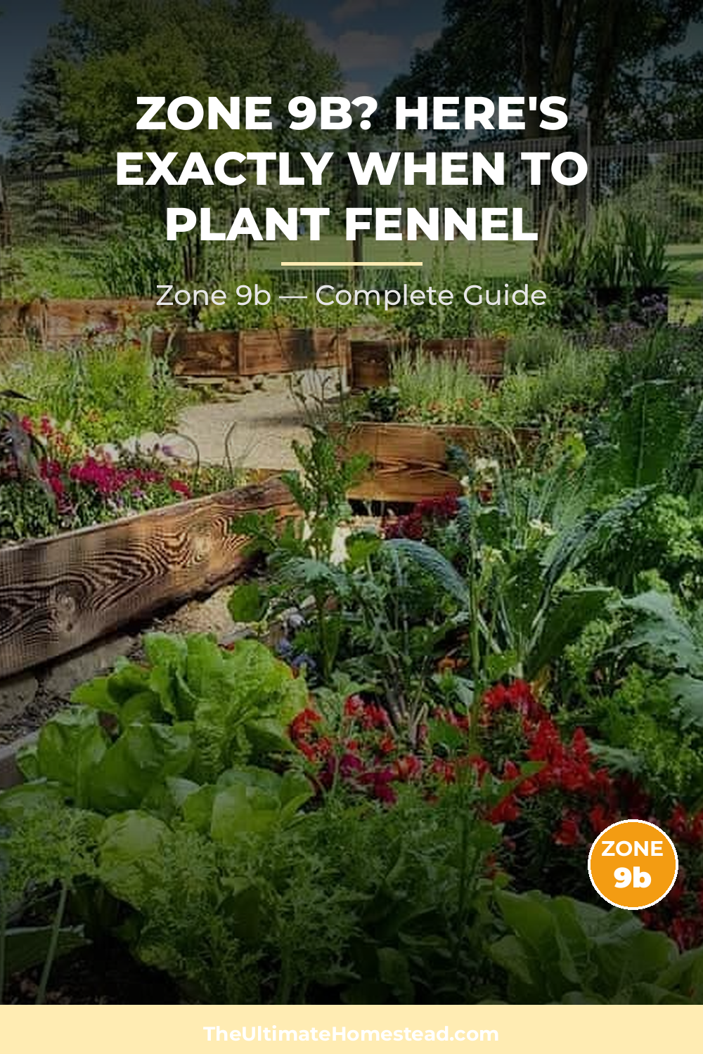 When to Plant Fennel in Zone 9b