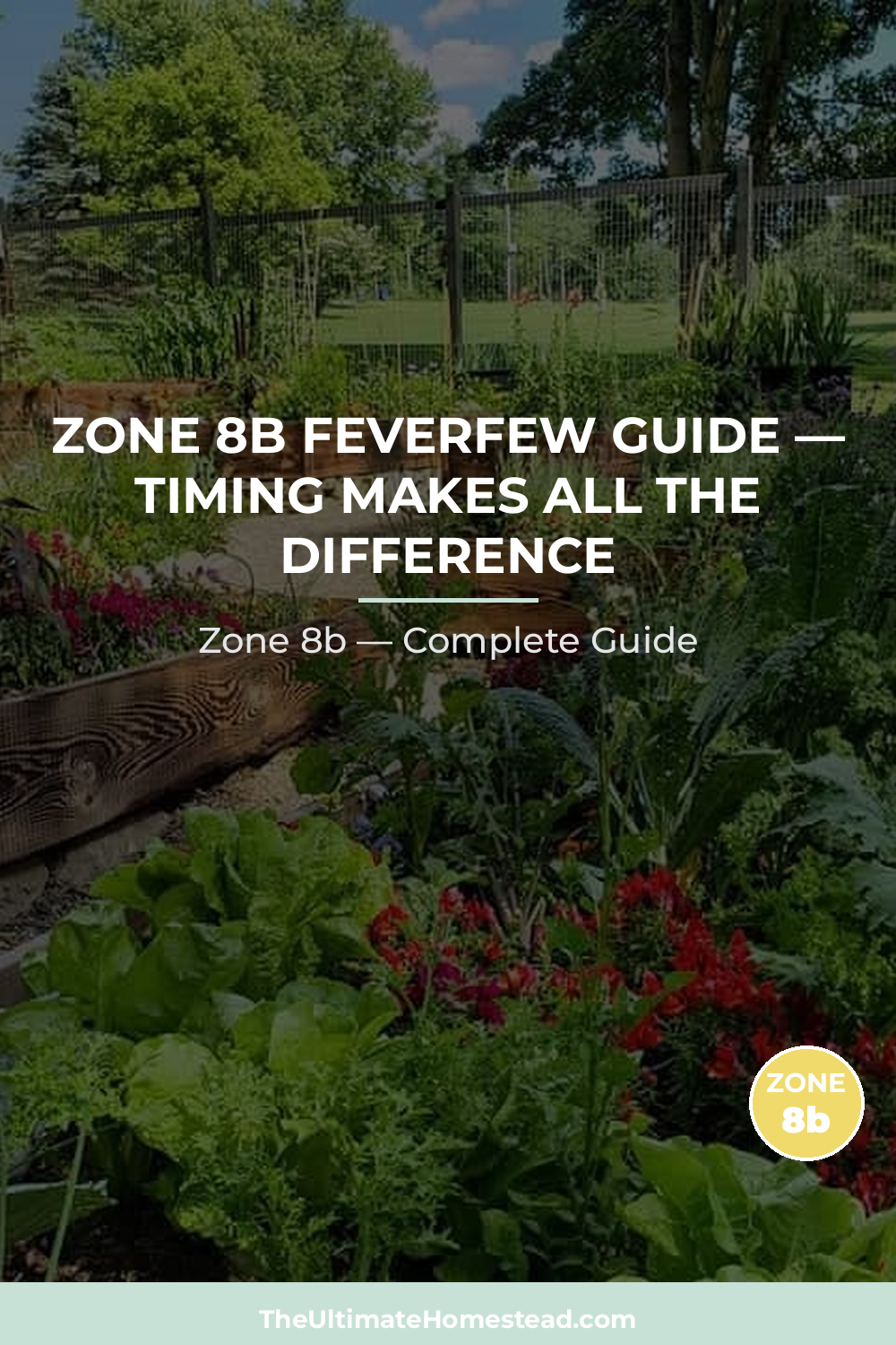 When to Plant Feverfew in Zone 8b