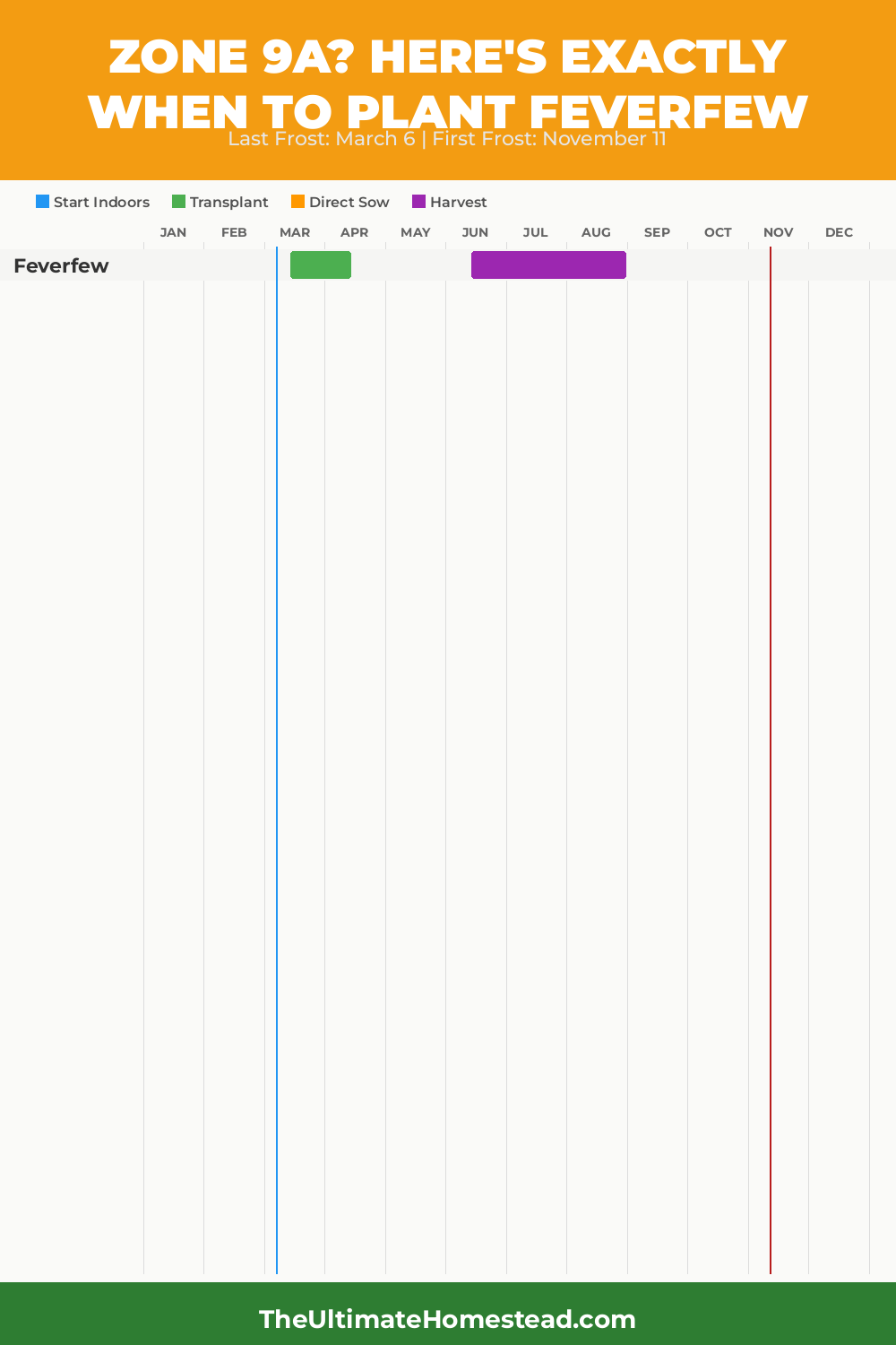 When to Plant Feverfew in Zone 9a