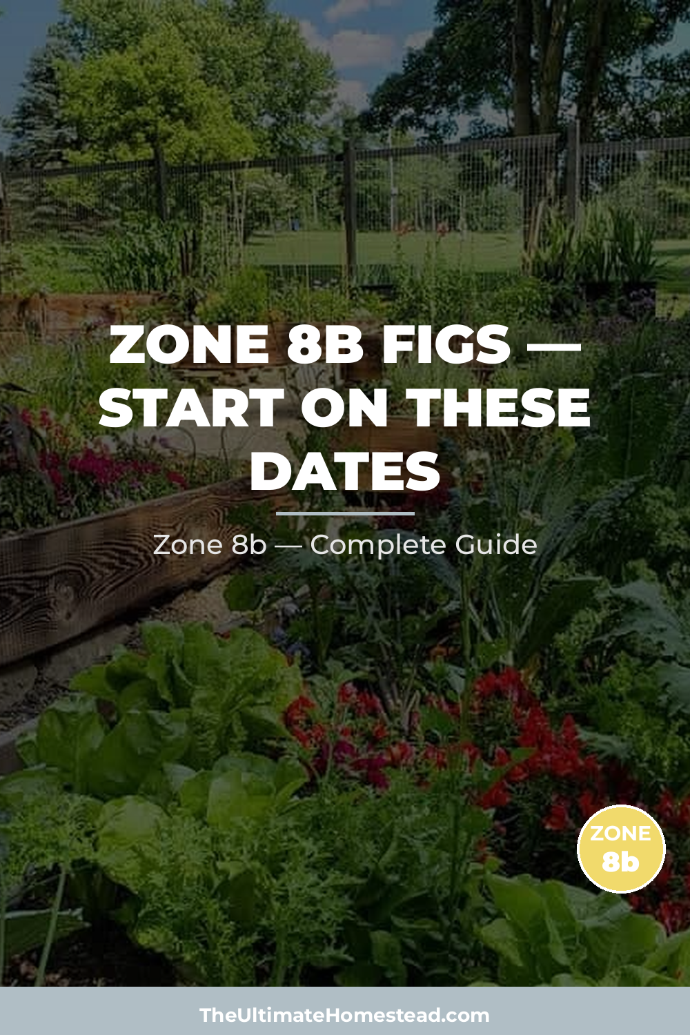 When to Plant Figs in Zone 8b