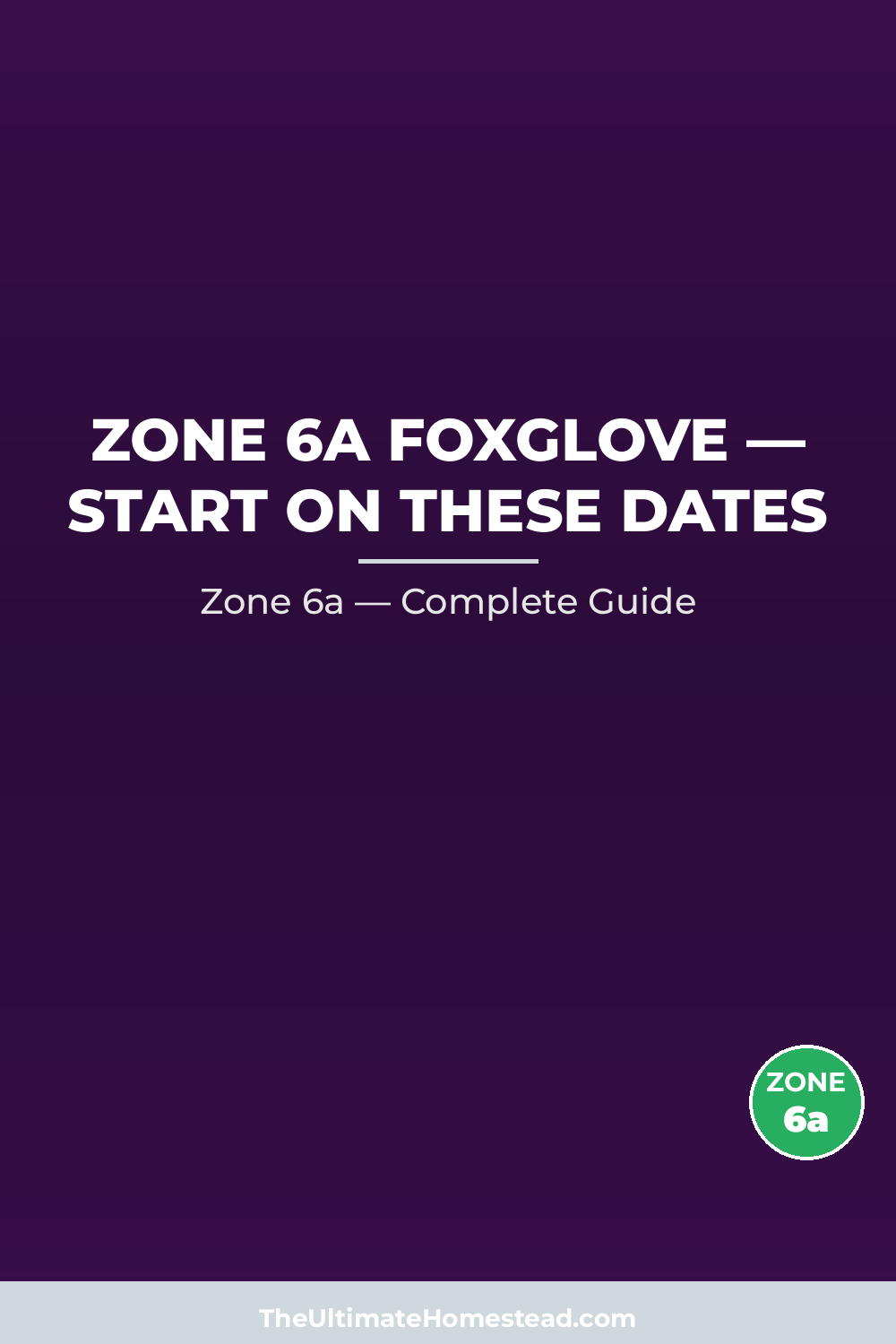 When to Plant Foxglove in Zone 6a