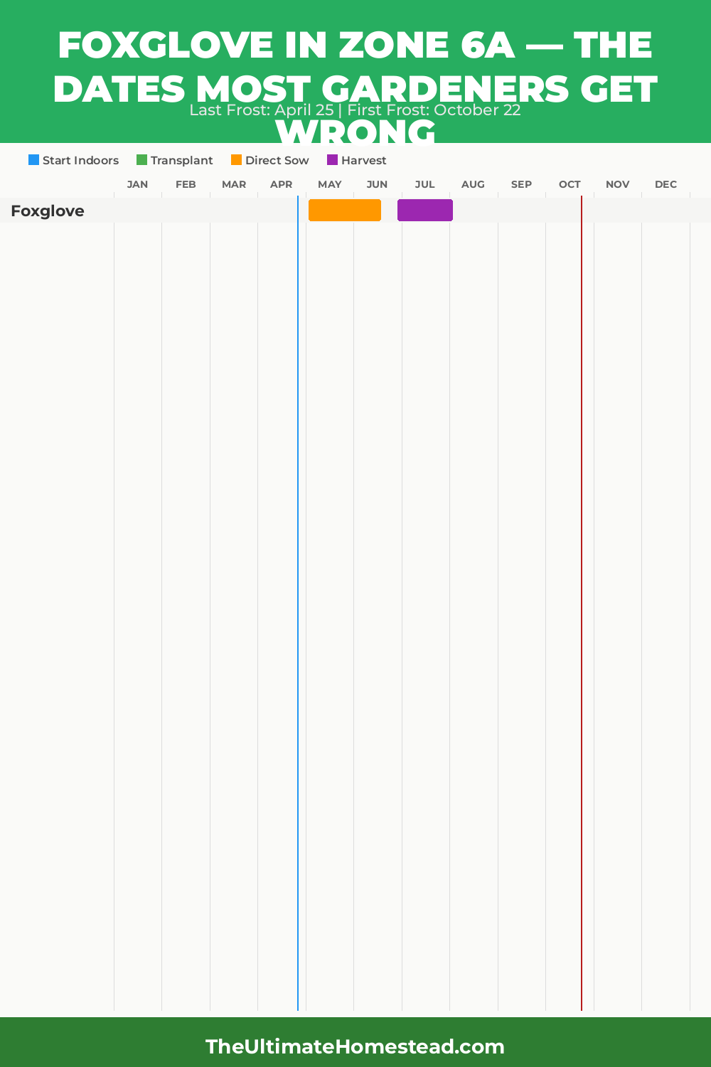 When to Plant Foxglove in Zone 6a