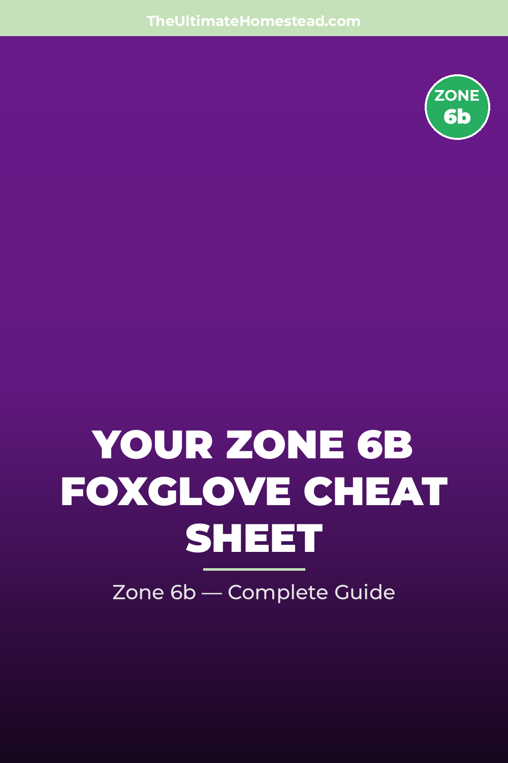 When to Plant Foxglove in Zone 6b