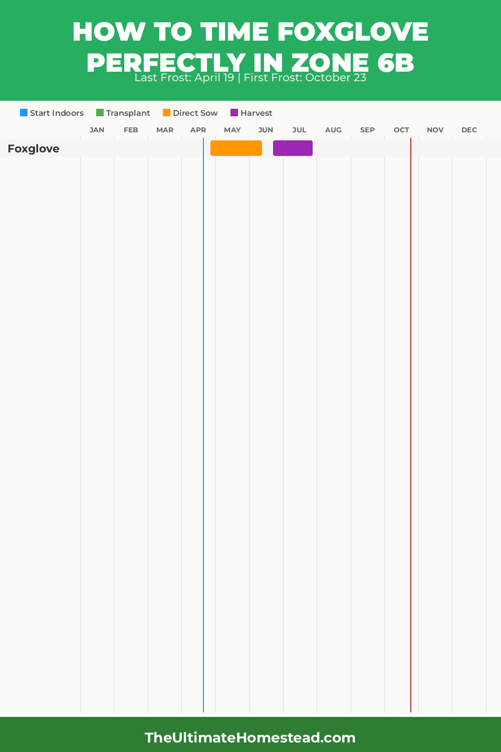 When to Plant Foxglove in Zone 6b