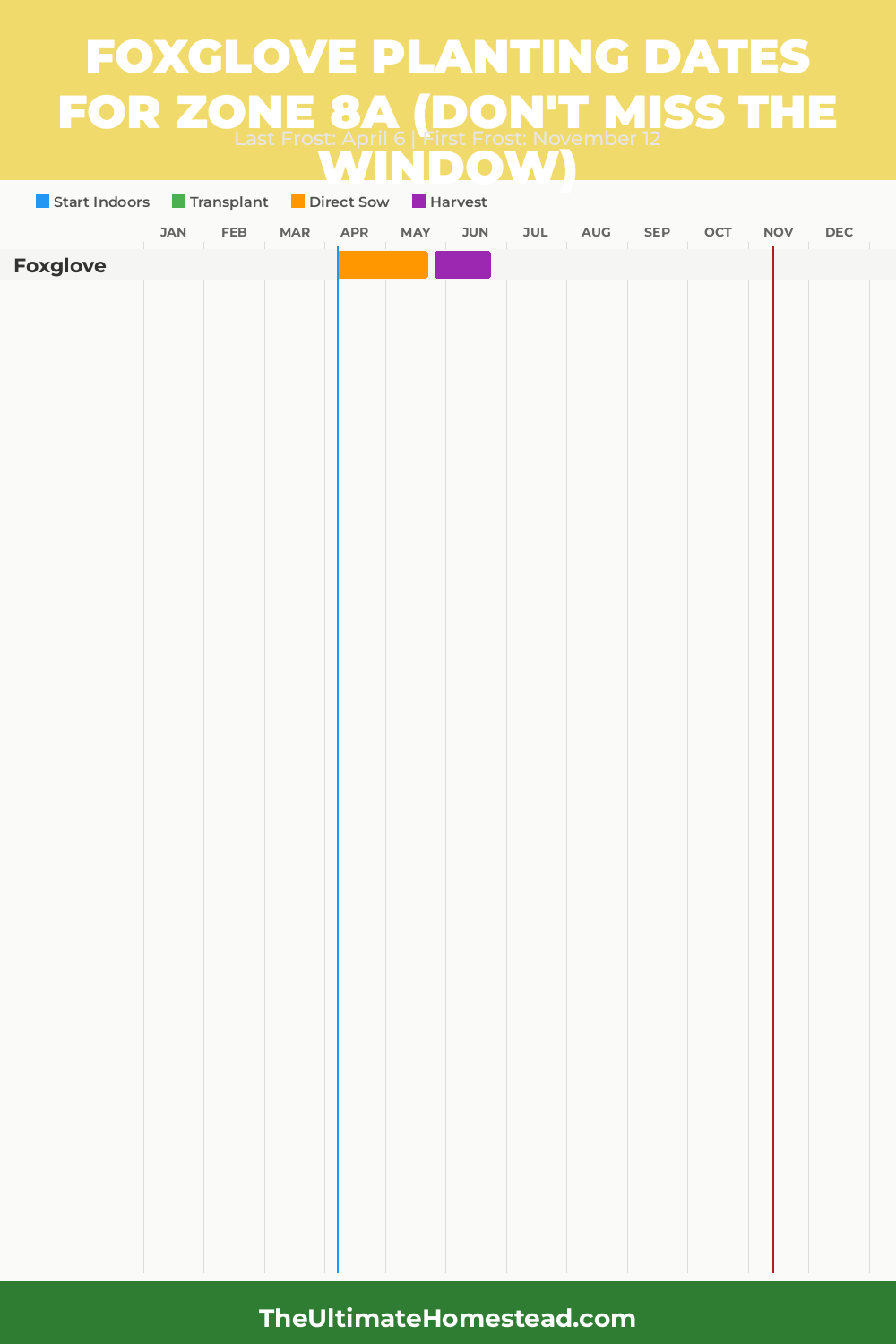 When to Plant Foxglove in Zone 8a