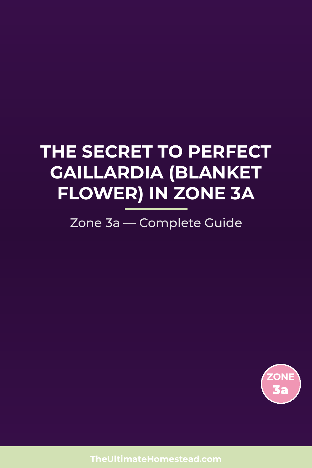 When to Plant Gaillardia (Blanket Flower) in Zone 3a