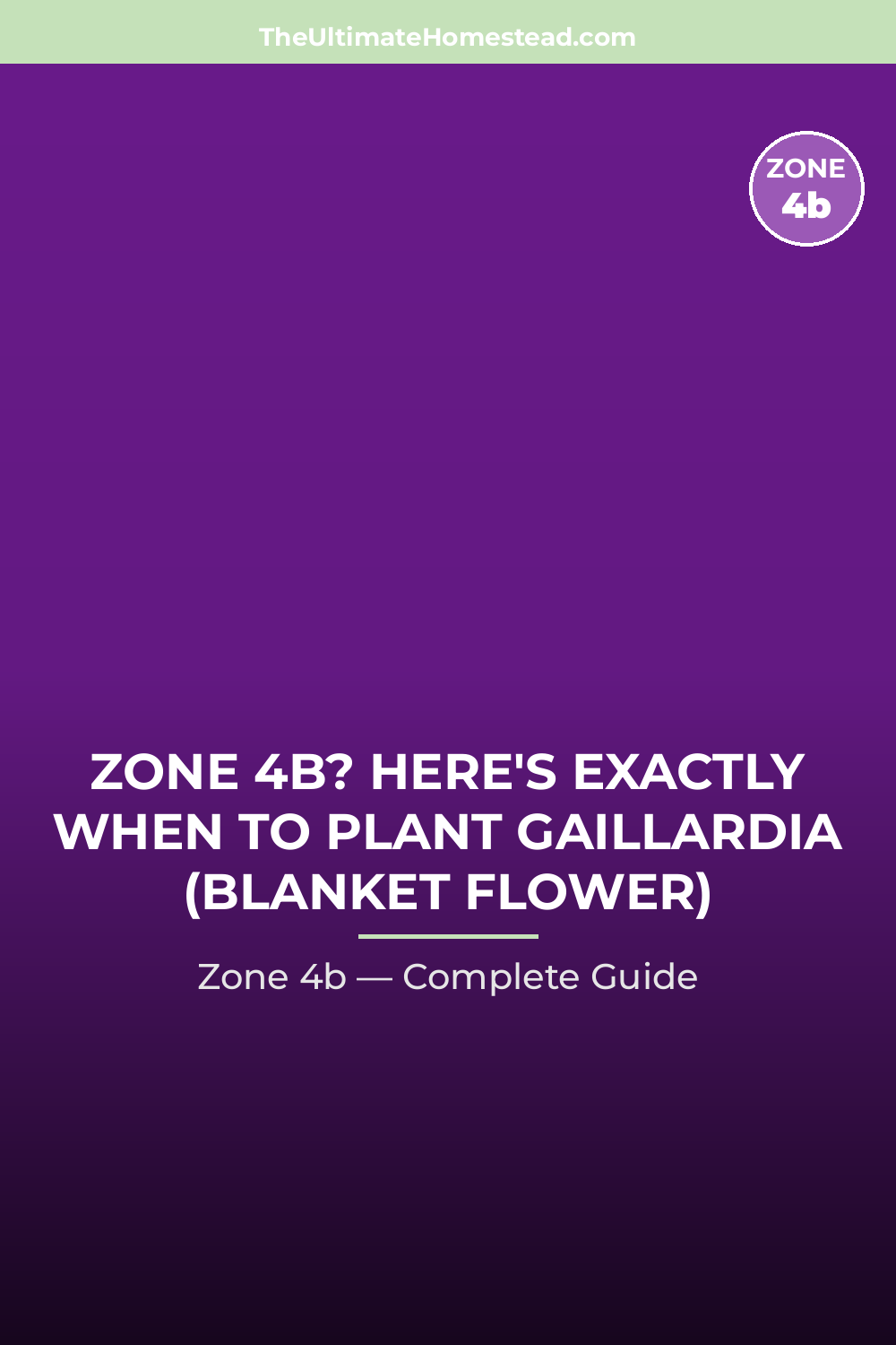 When to Plant Gaillardia (Blanket Flower) in Zone 4b