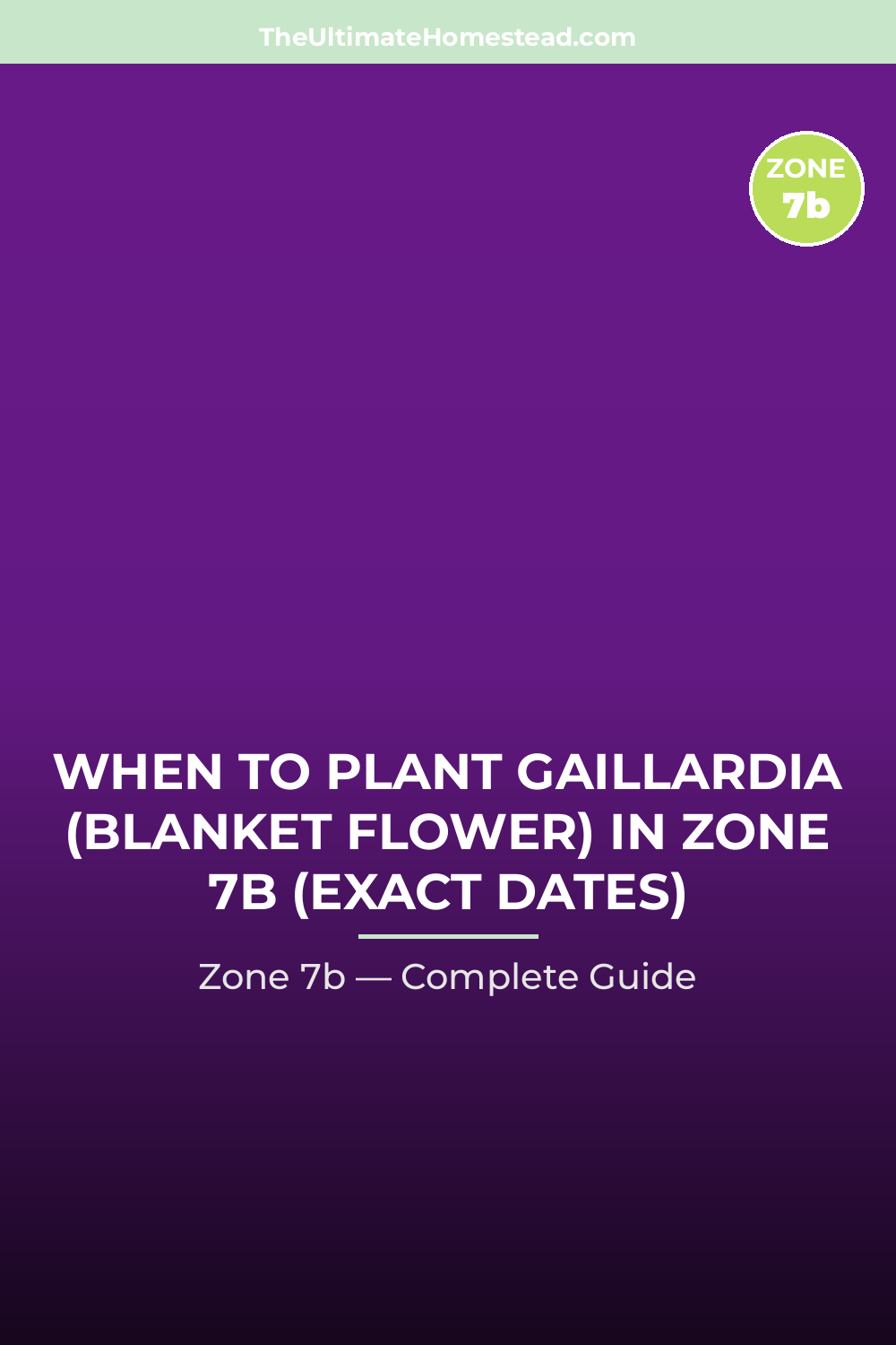 When to Plant Gaillardia (Blanket Flower) in Zone 7b