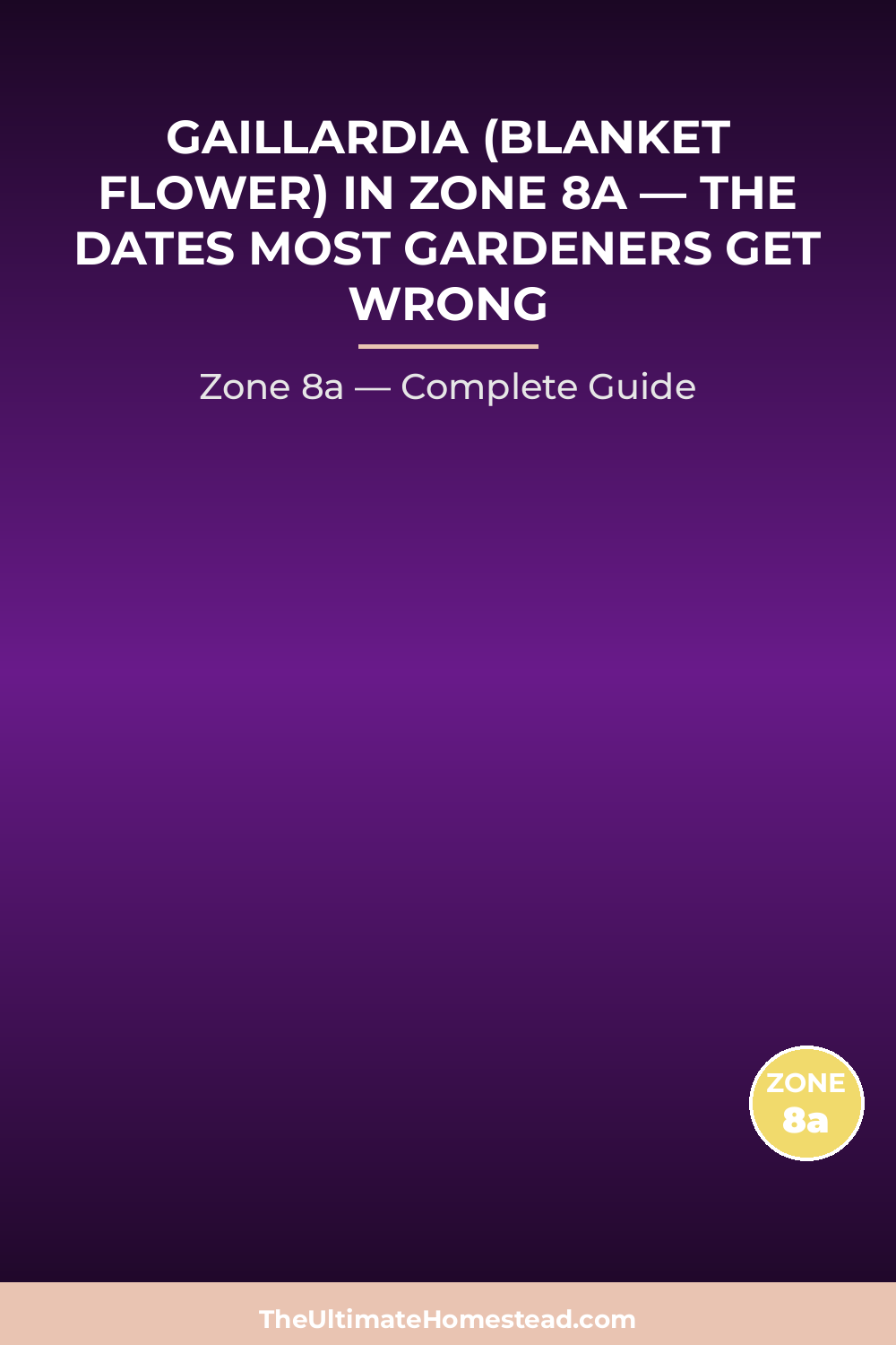 When to Plant Gaillardia (Blanket Flower) in Zone 8a