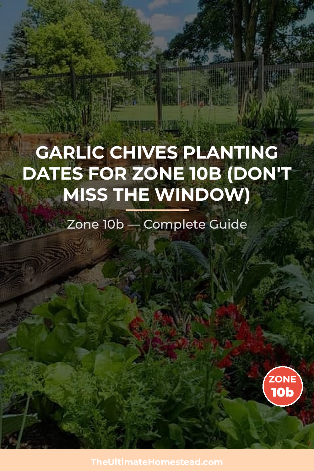 When to Plant Garlic Chives in Zone 10b