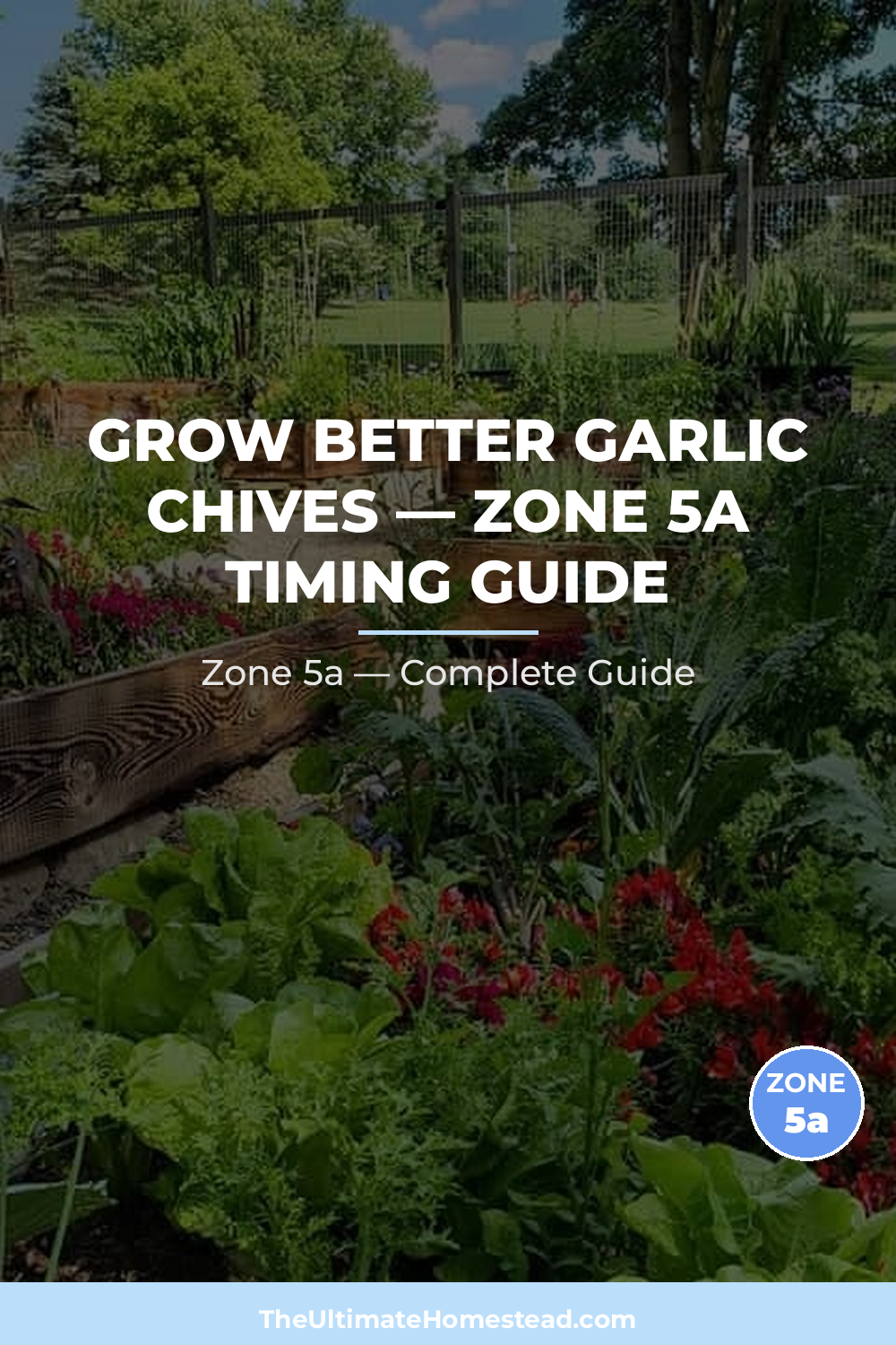 When to Plant Garlic Chives in Zone 5a