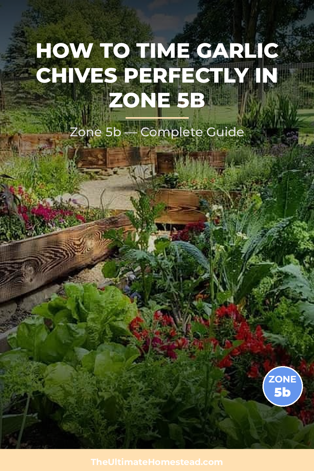 When to Plant Garlic Chives in Zone 5b