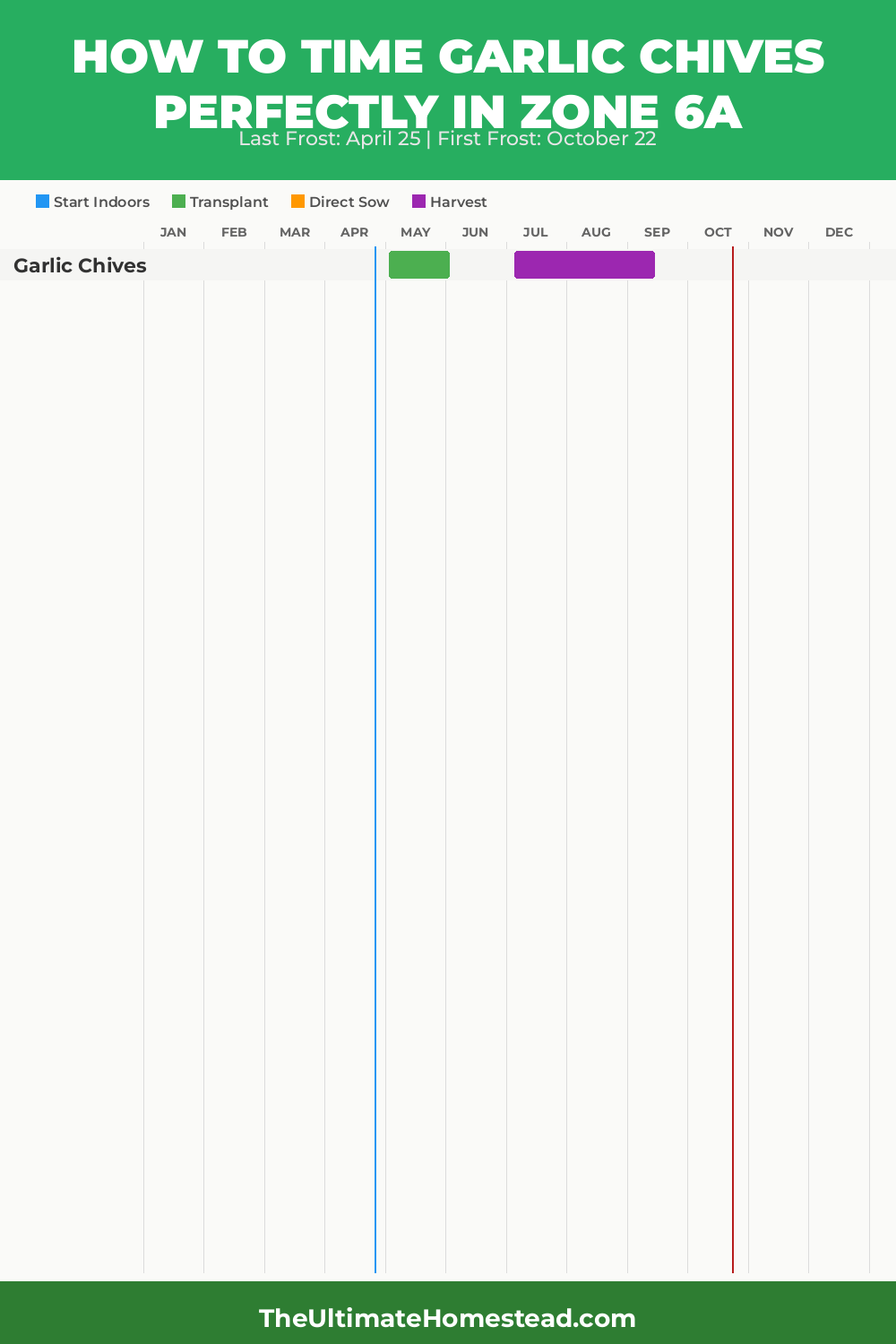When to Plant Garlic Chives in Zone 6a