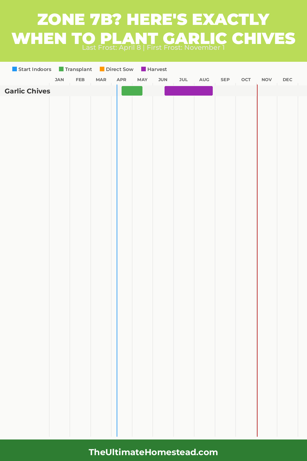 When to Plant Garlic Chives in Zone 7b